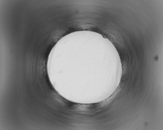 X0000116660182201001251225