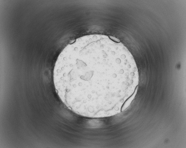 X0000116660183201001251225