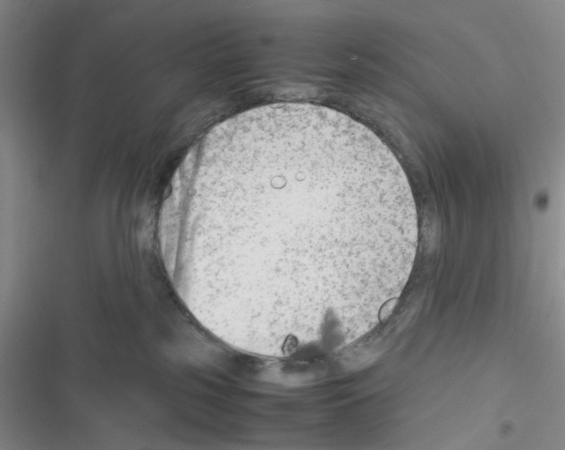 X0000116660185201001251225