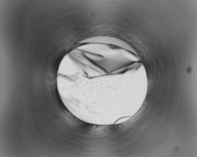 X0000116660186201001251225