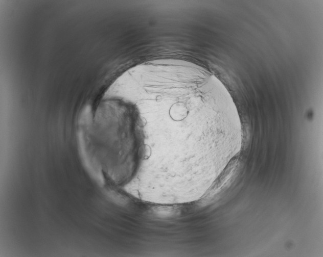 X0000116660187201001251225