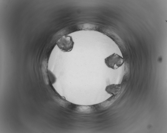 X0000116660189201001251225