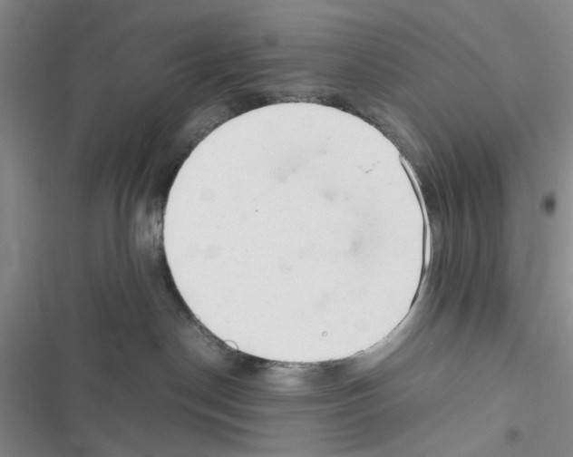 X0000116660190201001251226
