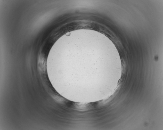 X0000116660191201001251226