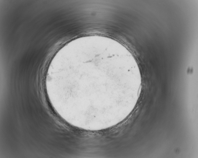 X0000116660193201001251225