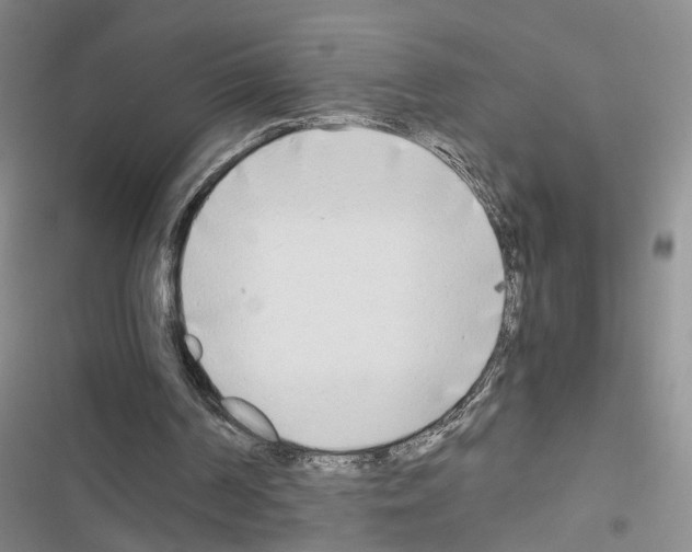 X0000116660194201001251225