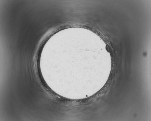 X0000116660197201001251225