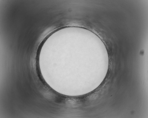 X0000116660199201001251225