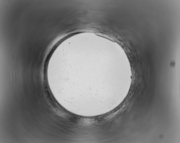 X0000116660200201001251225