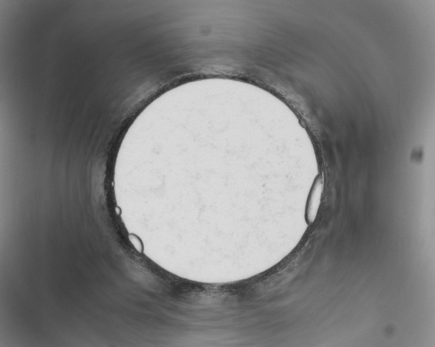 X0000116660201201001251225