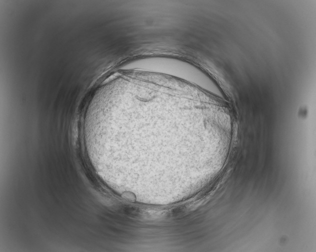 X0000116660202201001251225