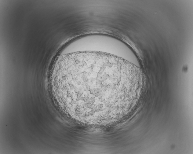 X0000116660203201001251225