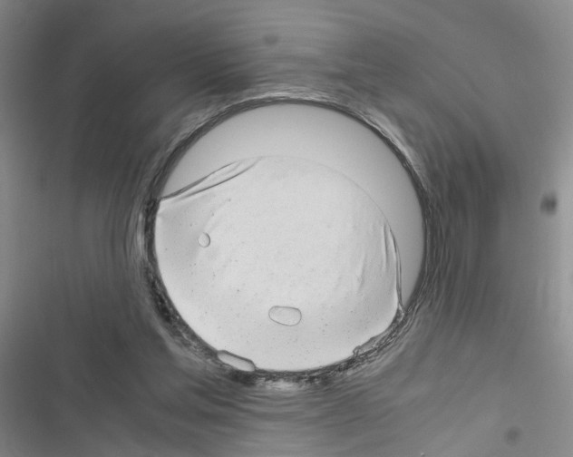 X0000116660205201001251225