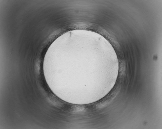 X0000116660206201001251225