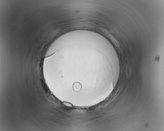 X0000116660209201001251225