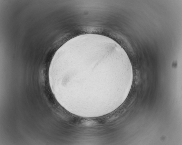 X0000116660210201001251225