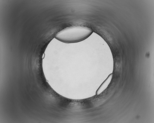 X0000116660211201001251225