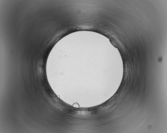X0000116660212201001251225