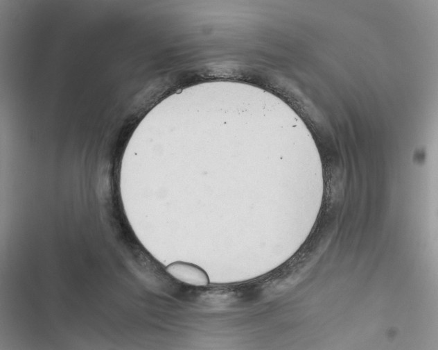 X0000116660213201001251225