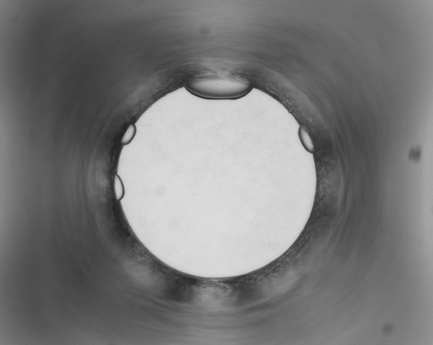 X0000116660215201001251225
