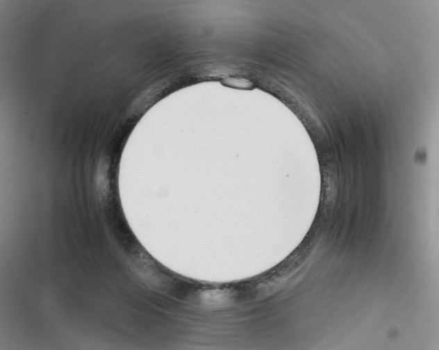 X0000116660216201001251225