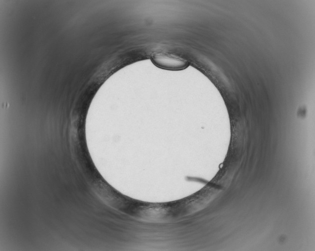 X0000116660217201001251225
