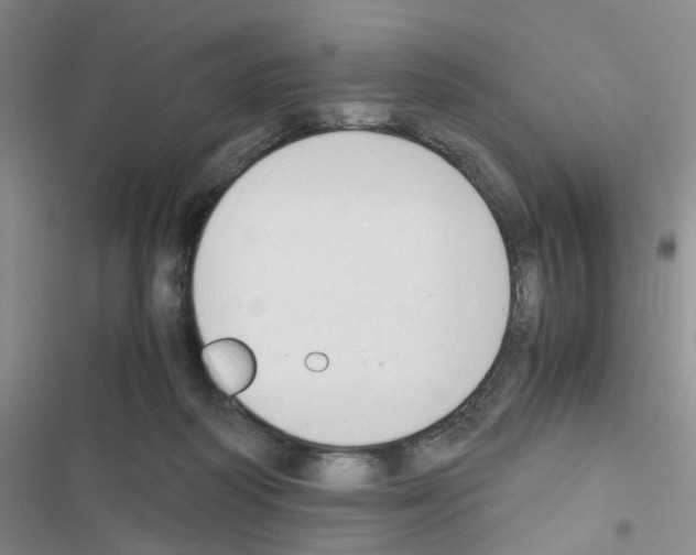 X0000116660218201001251225