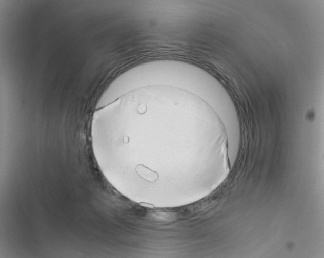 X0000116660221201001251225