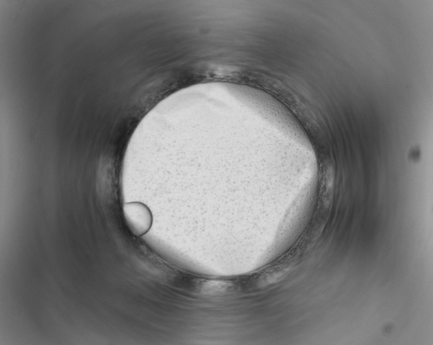 X0000116660222201001251224