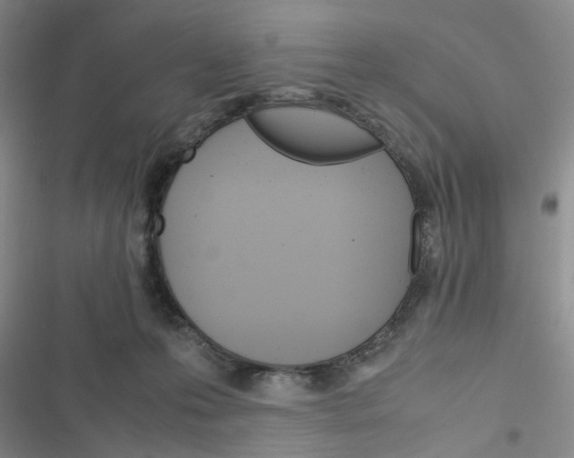 X0000116660223201001251224