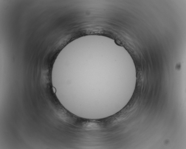 X0000116660224201001251224