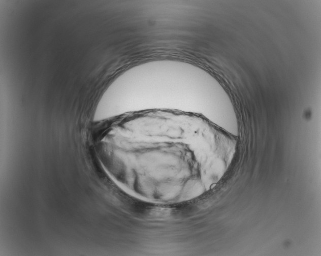 X0000116660227201001251224