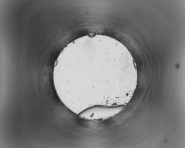 X0000116660229201001251224