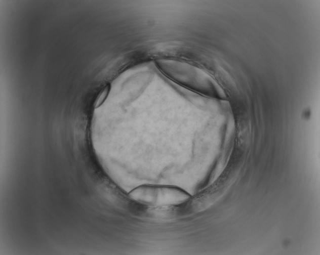 X0000116660231201001251224