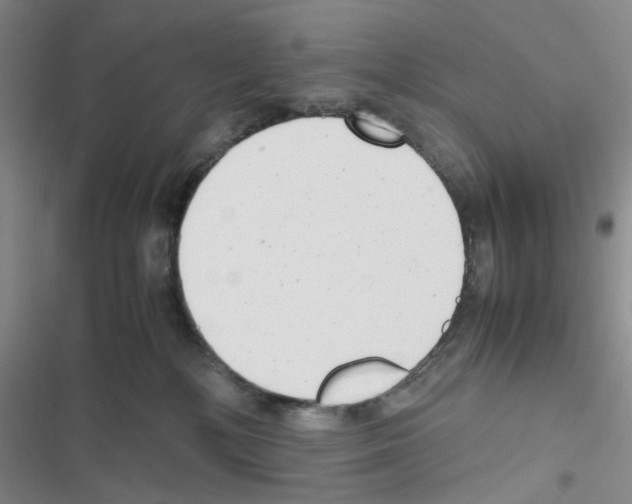 X0000116660232201001251224