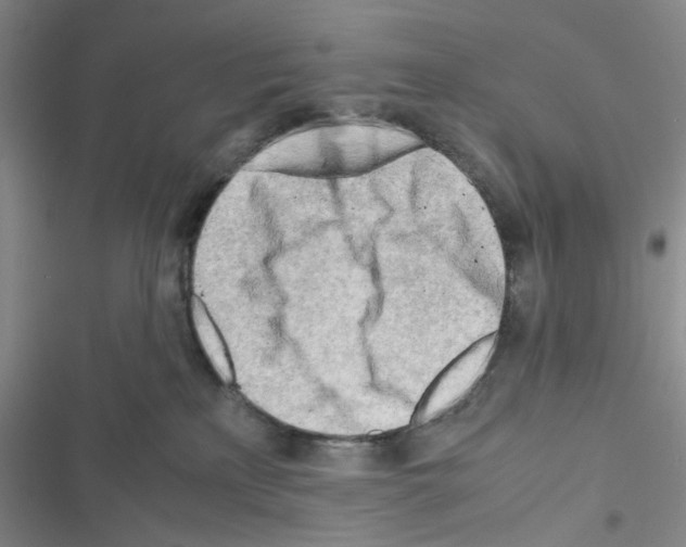 X0000116660233201001251224