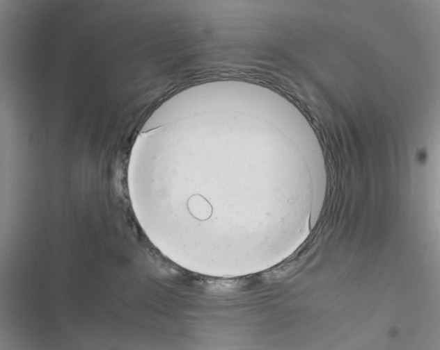 X0000116660235201001251224