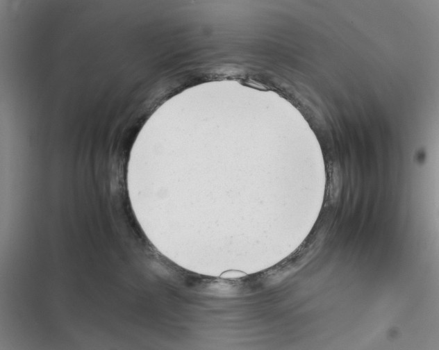 X0000116660236201001251224