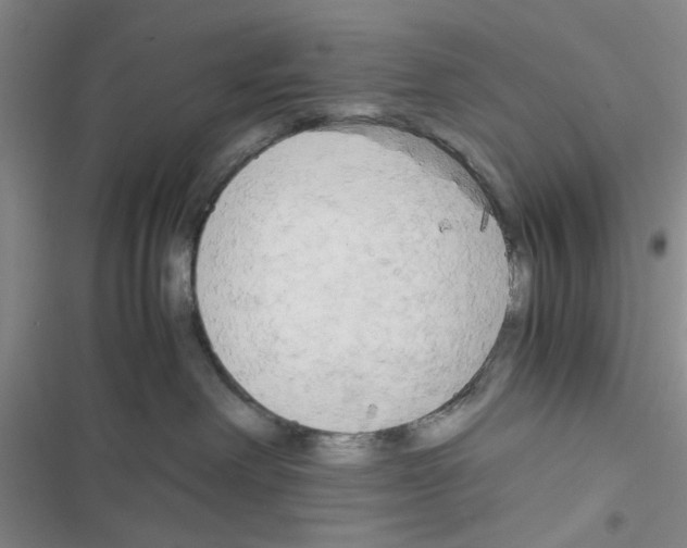 X0000116660238201001251224