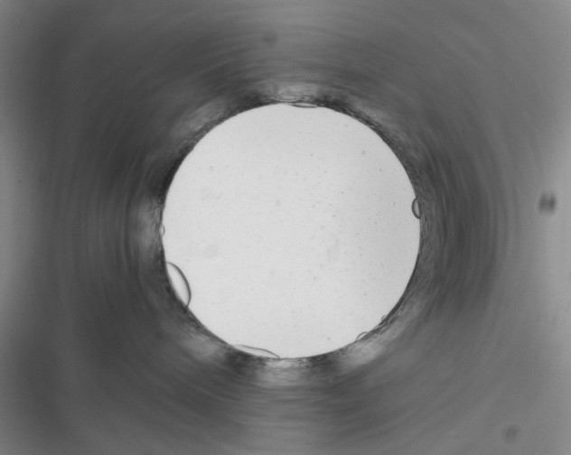 X0000116660240201001251224