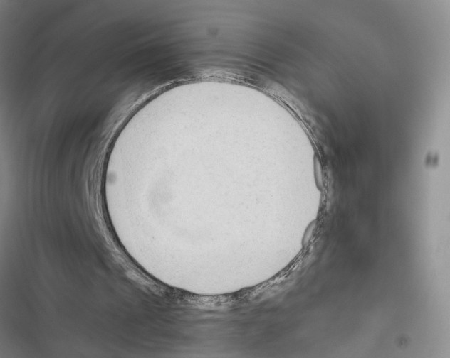 X0000116660241201001251223