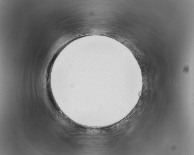X0000116660242201001251223