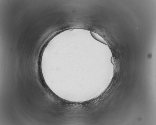 X0000116660243201001251223