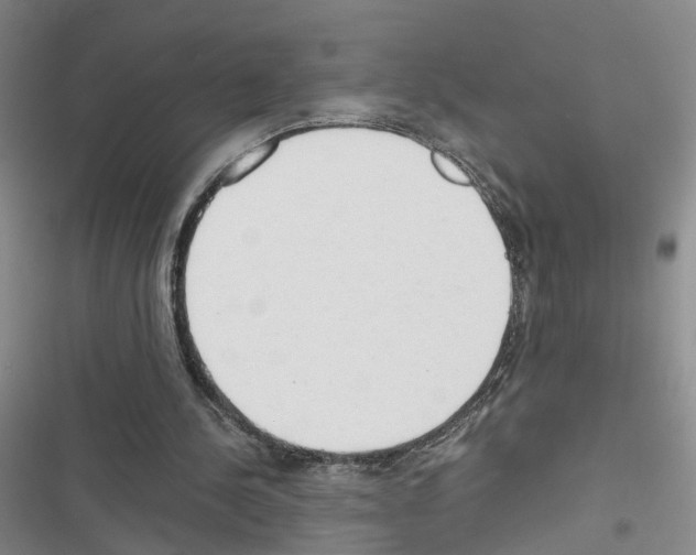 X0000116660244201001251223