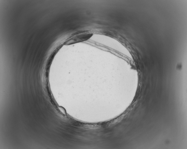 X0000116660245201001251224