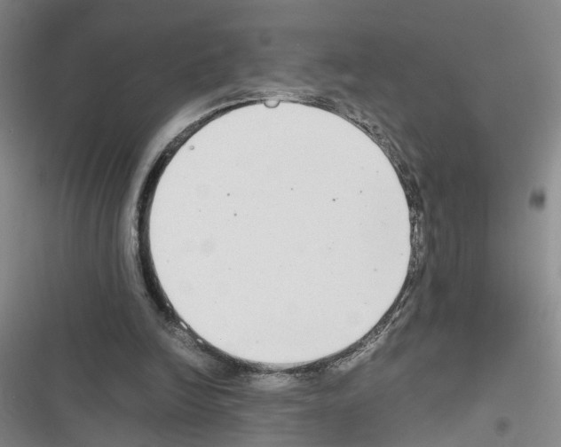 X0000116660246201001251224