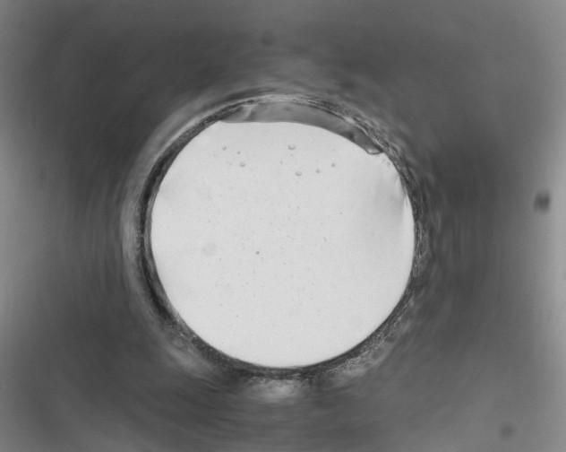 X0000116660247201001251224