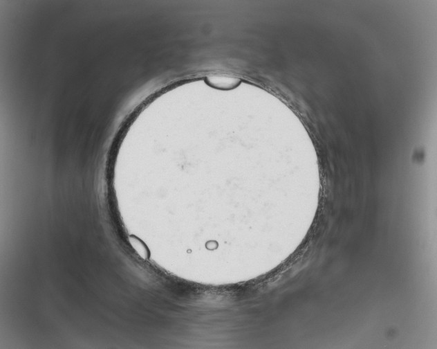 X0000116660248201001251224