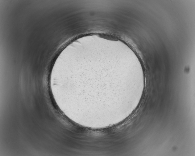 X0000116660249201001251224