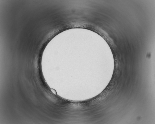 X0000116660250201001251224